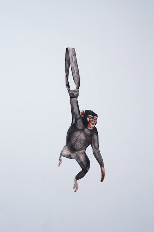 Animals Ties - Monkey Tie, Silk Tie, Novelty Tie, Tie Accessories Holiday Gift, Silk Tie.