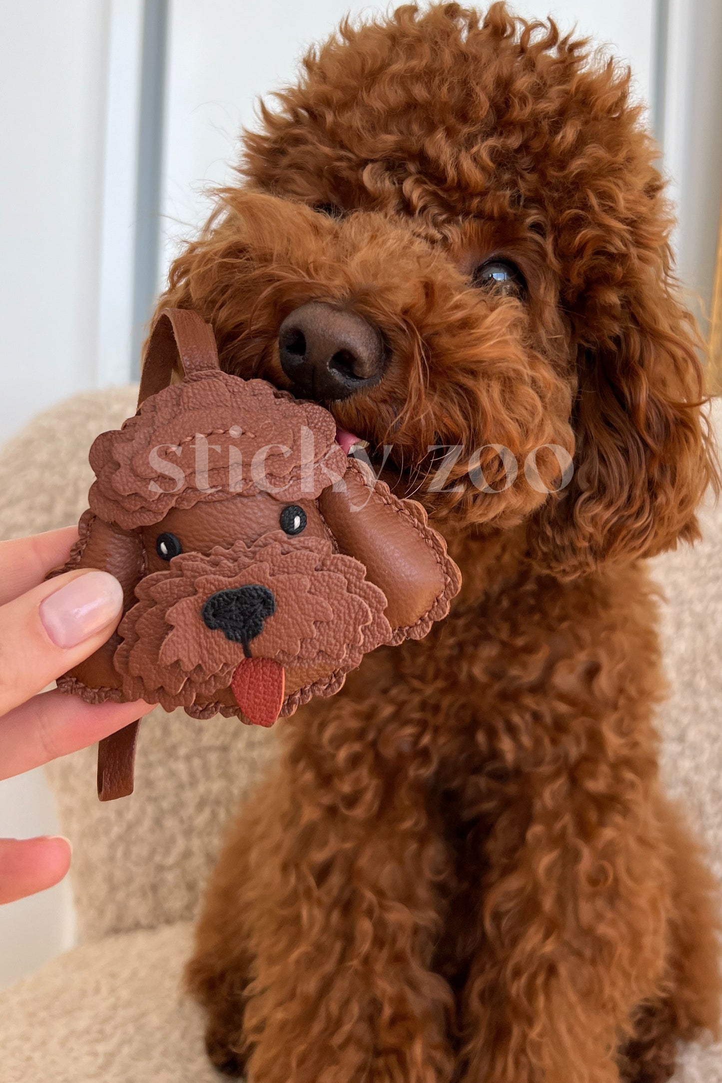 POODLE CHARM