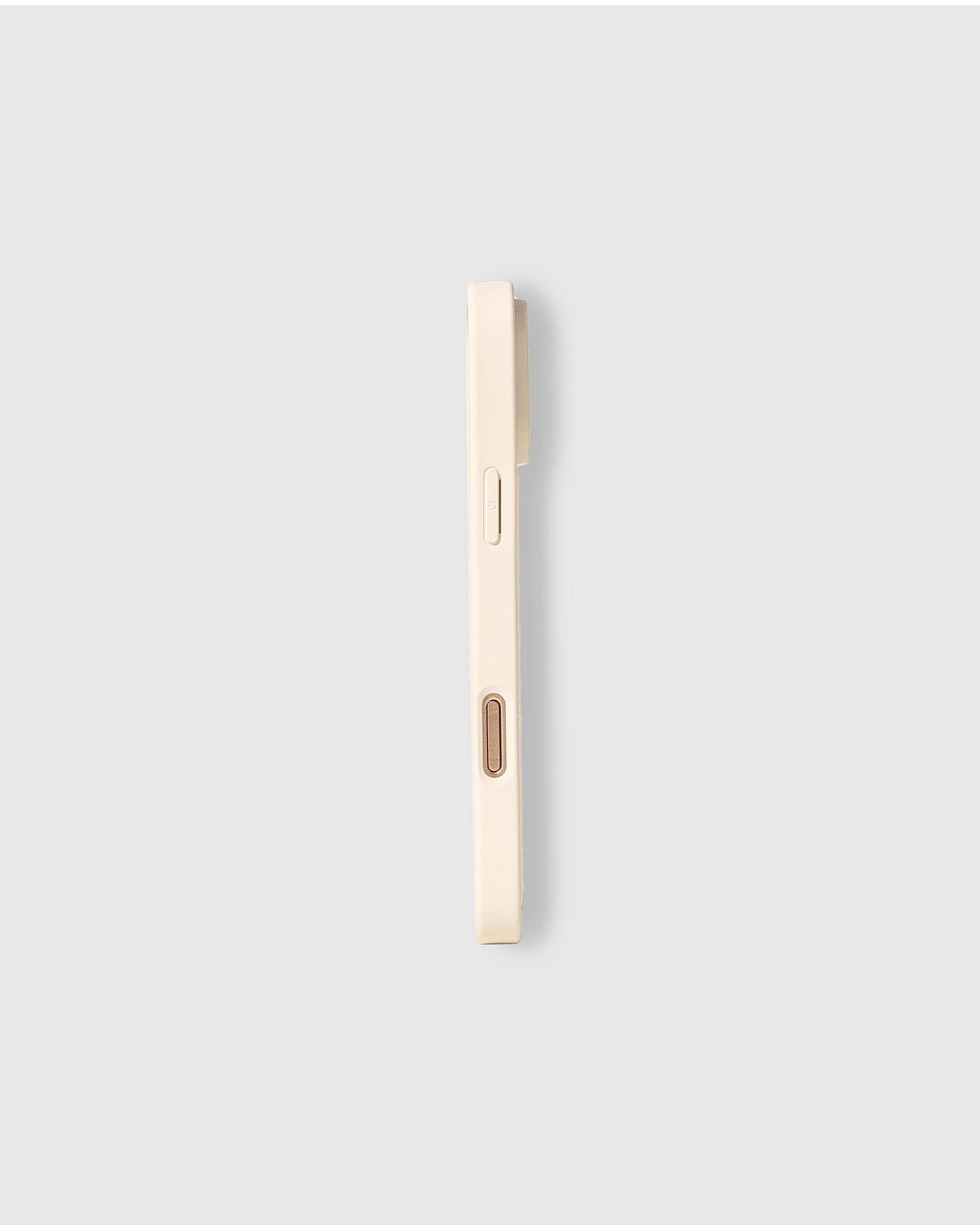 NAUGHTY PLAYER BASEBALL CASE