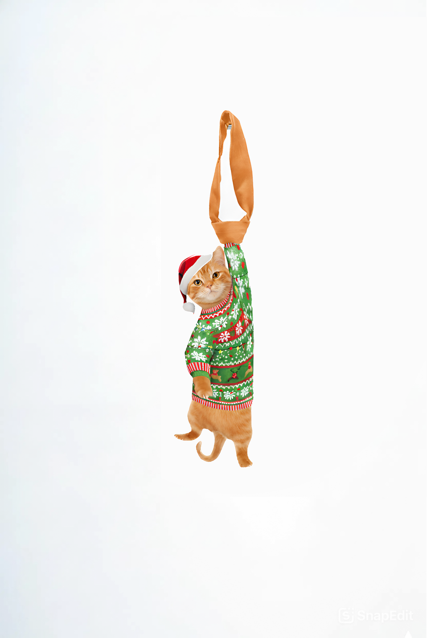 Animals Ties - Orange Naughty Noel Lucky Cat Tie, Silk Tie, Novelty Tie, Pet Tie