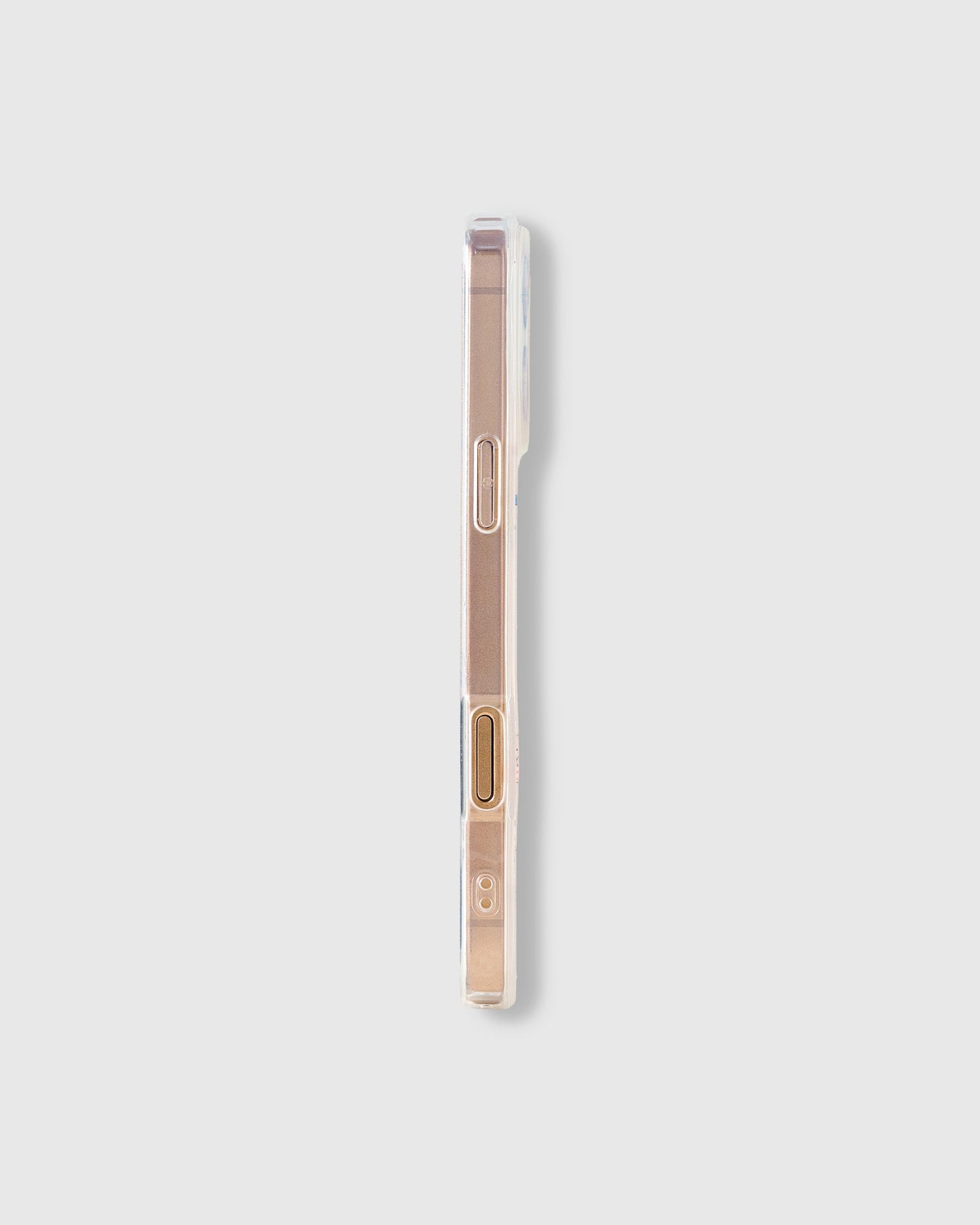 LITTE DOGS CASE