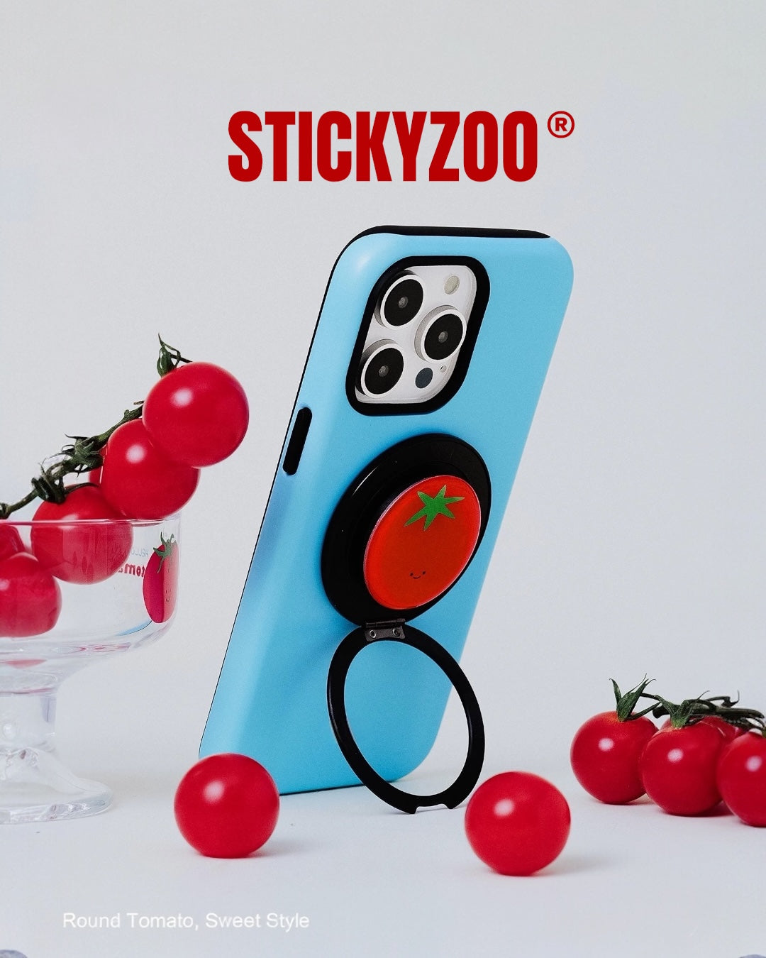 SWEET TOMATO CASE